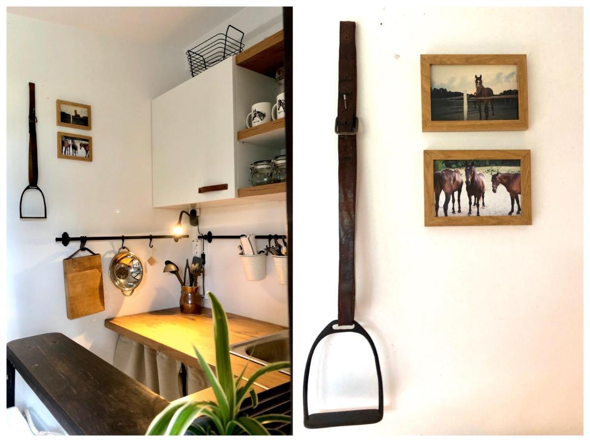 Apartamenty Lajkonik Dąbrówno エクステリア 写真