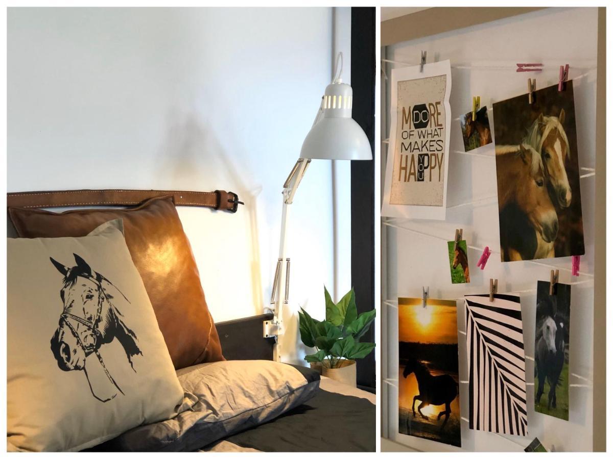 Apartamenty Lajkonik Dąbrówno エクステリア 写真